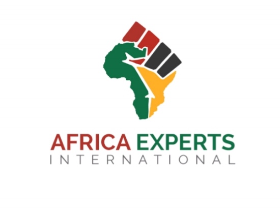 AFRICA EXPERTS INTERNATIONAL